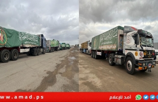 الطاهري: الانتقاص من دور مصر في القضية الفلسطينية "مزايدة رخيصة"