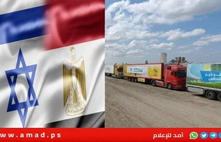 مصدر رفيع المستوى: الوفد الأمني المصري يكثف من جهوده لإعادة تفعيل اتفاق الهدنة في غزة