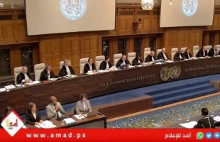 "العدل الدولية" تستأنف جلساتها العلنية بشأن التبعات القانونية الناشئة عن جيش الاحتلال