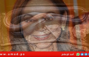 جلود الثعابين والتماسيح تودي بمصممة الأزياء الشهيرة نانسي إلى السجن