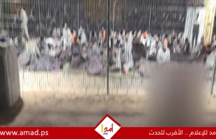 الأمم المتحدة: استخدام جيش الاحتلال الكلاب ضد المعتقلين الفلسطينيين انتهاك خطير