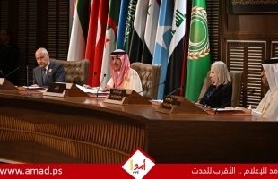 أبوالغيط: خطة عربية للتعامل مع التداعيات الاقتصادية والإنسانية للعدوان على غزة - تفاصيل