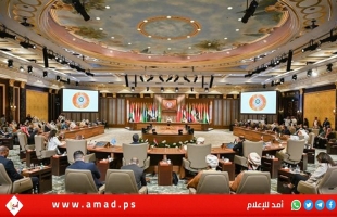 أبو الغيط: مشاعر الانتقام الأسود تمكنت من قادة الاحتلال حتى ارتكبوا "تطهيرا عرقيا" في غزة