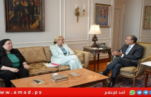 وزير الخارجية المصري يطالب بانسحاب القوات الإسرائيلية من رفح وتشغيل المعبر من قبل السلطة الفلسطينية