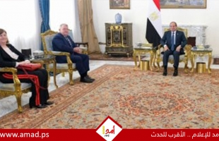 خلال لقائه وزير خارجية الدنمارك..السيسى يؤكد ضرورة تغليب مسار التهدئة والتوصل لوقف إطلاق النار بغزة