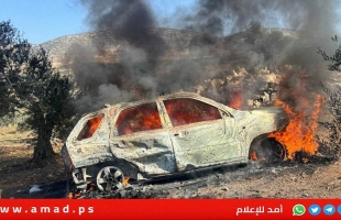 جيش الاحتلال يغتال شبان بقصف سيارة عند مدخل عقابا شمال طوباس- فيديو