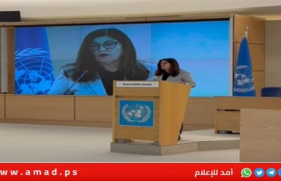 شاهين تدعو إلى محاسبة إسرائيل على جرائمها وحظر تصدير الأسلحة لها