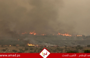توسع هائل لحريق جبال القدس ومناطق أخرى.. وإعلان حالة الطوارئ القصوى - فيديو وصور