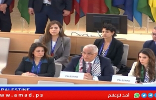 العمل الدولية ترفع مستوى تمثيل فلسطين الى "دولة مراقب..وخريشي يراه حق تاريخي