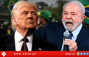 لولا يزرع العنب لإعطاء مثال على “زرع الغذاء وليس العنف” - فيديو