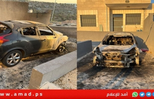 الخارجية الفلسطينية تدين هجوم فرق المستوطنين الإرهابية على الطيبة