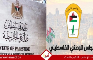 "الوطني" و "الخارجية" يطالبون بإجراءات دولية أكثر جرأة لوقف الابادة والتهجير  بالضفة الغربية