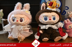 سر انجذاب الكثيرين لدمية لافوفو