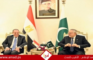 وزير الخارجية المصري يؤكد ضرورة تنفيذ المرحلة الثانية من اتفاق غزة