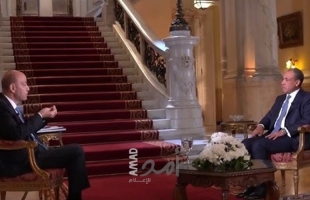 وزير خارجية مصر يكشف عن تفاهمات جديدة حول حصر سلاح غزة- فيديو