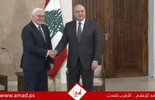 شتاينماير: نزع سلاح "حزب الله" وانسحاب إسرائيل مفتاح الاستقرار الدائم