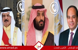 السيسي: أمن السعودية والبحرين خط أحمر .. وسيادة الدول العربية "مقدسة" ولا نقبل المساس بها