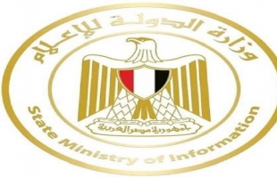 ردا على الهاشم..الإعلام المصرية: ما كتبه يمثل انحطاط لا يمكن الصمت عليه