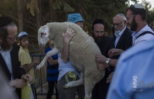 محافظة القدس: 7 محاولات لإدخال "قرابين" للمسجد الأقصى خلال "الفصح اليهودي" هذا العام