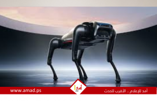 كلب آلى يتحدث ويرشد المكفوفين.. ثورة جديدة بالذكاء الاصطناعى