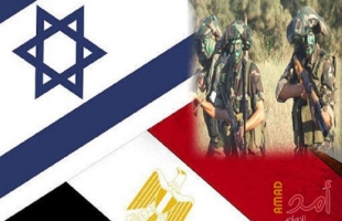 مقترح التهدئة في غزة الجديد ومقترح ويتكوف الأول..الفوارق بينهما