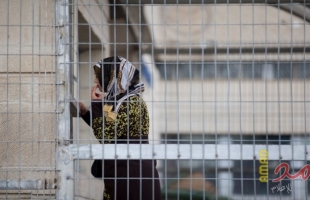 صدور ملحق خاص فى جريدة المواطن الجزائرية عن الأسيرات الفلسطينيات القابعات فى السجون الإسرائيلية
