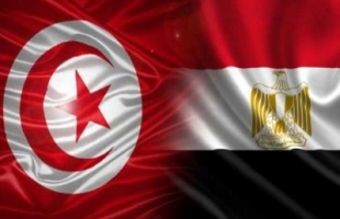 مسؤول: مصر ستصبح في الفترة المقبلة أهم شريك لتركيا في التصدير والتجارة