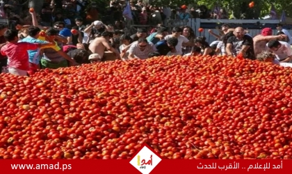 أزمة طماطم تهدد إسبانيا بسبب الجفاف مع نقص المحاصيل 70%