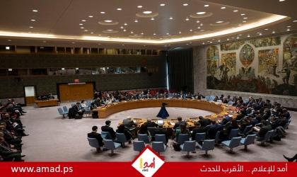 دول عربية ومنظمات إقليمية تأسف لعجز مجلس الأمن عن تمكين فلسطين من العضوية الكاملة