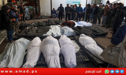 الصحة: ارتفاع ضحايا الحرب العدوانية على قطاع غزة إلى 56,156 شهيدًا