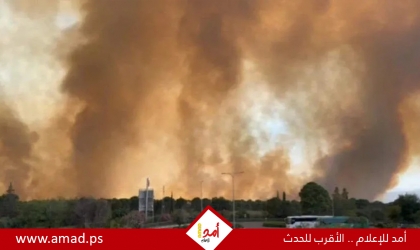إعلام عبري: احتراق 10 آلاف دونم بالجولان بعد قصف حزب الله
