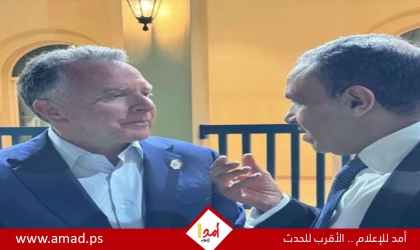 وزير الخارجية المصري وويتكوف يبحثان تبادل الرؤى حول تطورات غزة واتفاق التهدئة