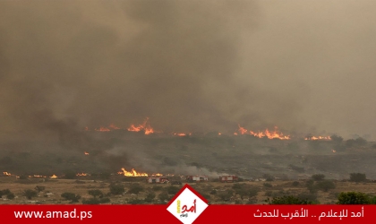 حرائق جبال القدس: جهود الإخماد تتواصل والنيران تلتهم 24 ألف دونم