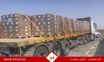 مصر تعلن دخول 166 شاحنة مساعدات إلى قطاع غزة