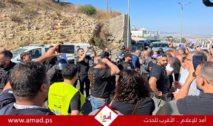 الشرطة الإسرائيلية تعتدي على متظاهرين ضد الحرب على غزة في أم الفحم وتعتقل أحدهم - فيديو