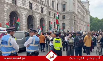مظاهرة حاشدة أمام الخارجية البريطانية تنديداً بالهجوم الإسرائيلي على سفينة "مادلين" - فيديو