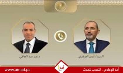 وزير الخارجية المصري يؤكد ضرورة تشكيل قوة عربية لصون الأمن القومي العربي