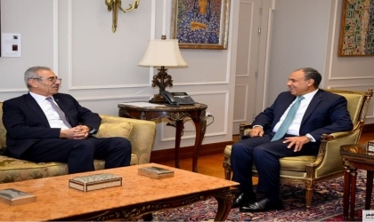 وزير خارجية مصر يدعو لبدء عمل لجنة إدارة غزة من الداخل