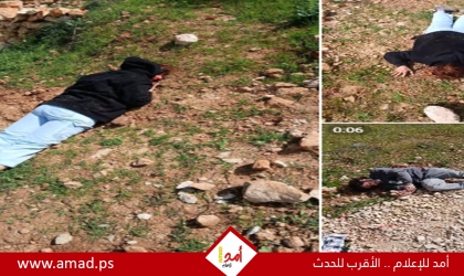 إصابة متضامنين أجنبيين في هجوم للمستوطنين على قصرة جنوب نابلس - فيديو