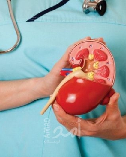 خبراء: 5 عادات صباحية قد تضر كليتيك بهدوء