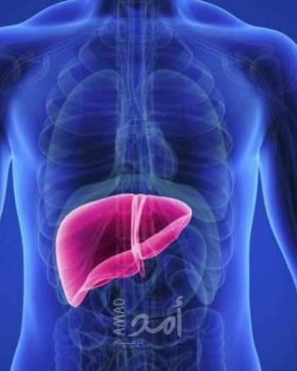 طريقة سريعة لتنقية الكبد من السموم
