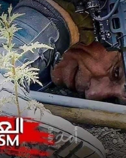 تقرير أممي يوثق تفاقم التمييز العنصري الذي تمارسه إسرائيل في الضفة الغربية