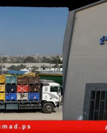 إحباط محاولة تهريب مئات الكيلوغرامات من التبغ إلى غزة عبر كرم أبو سالم-فيديو