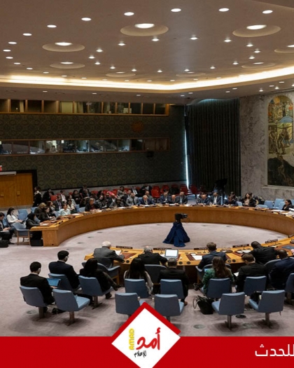 مجلس الأمن يفشل في منح فلسطين العضوية الكاملة