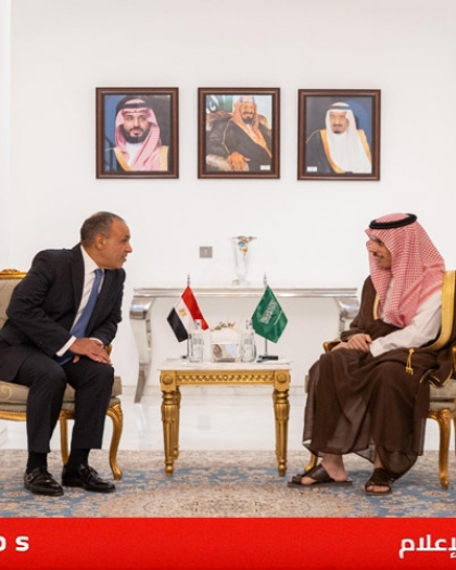 وزيرا خارجية مصر والسعودية يبحثان جهود وقف إطلاق النار في غزة