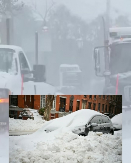 عاصفة ثلجية تحصد الأرواح وتشل الحياة في أمريكا: 200 مليون تحت الحصار - فيديو