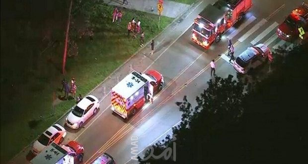 صورة أرشفية