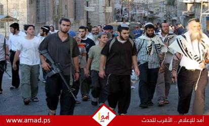 قناة أمريكية تكشف أساليب المستوطنين على أراضي الفلسطينيين في الضفة الغربية - فيديو